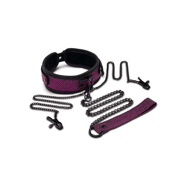 WhipSmart Dragon's Lair Collar, Leash & Nipple Clips Set - Image 3