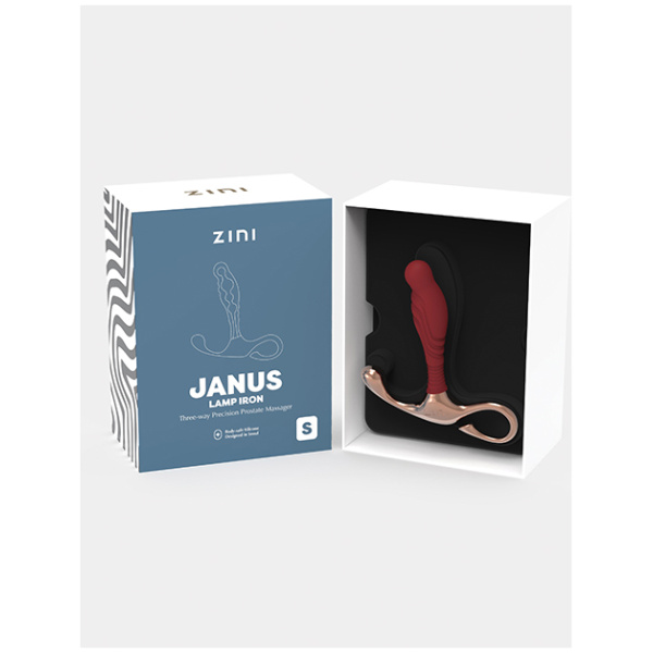 Zini Janus Lamp Iron - Maroon - Image 2