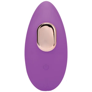 In A Bag Panty Vibe w-Remote - Purple