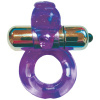 EOPHP2133 1