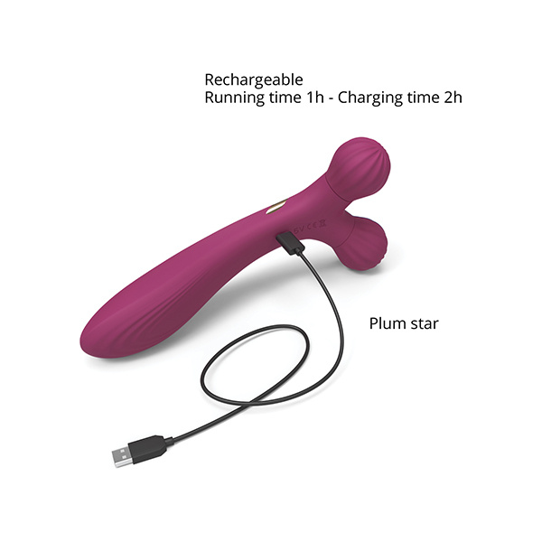 Love to Love Fireball Forked Vibrator - Plum Star - Image 2