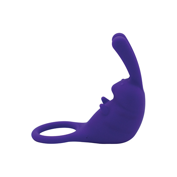 Natalie's Toy Box The Cock Hopper Cock Ring & Bullet Vibrator - Purple