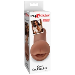 PDX Extreme Coed Cocksucker - Brown
