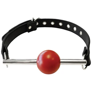 Rouge Leather Ball Gag with Stainless Steel Rod and Removable Ball - Black with Red