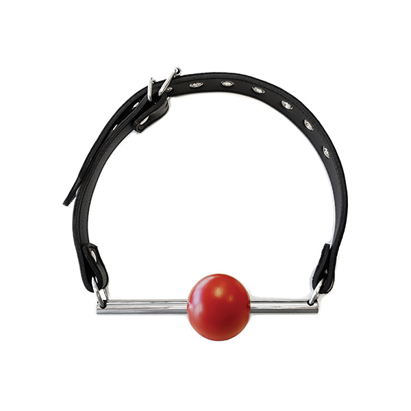 Rouge Leather Ball Gag with Stainless Steel Rod and Removable Ball - Black with Red - Image 4