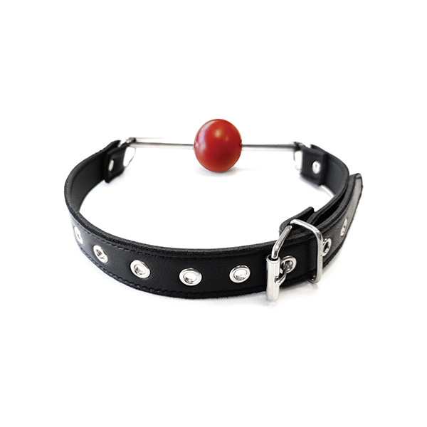 Rouge Leather Ball Gag with Stainless Steel Rod and Removable Ball - Black with Red - Image 2