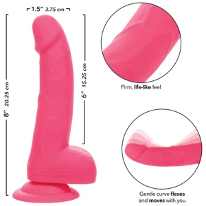 EOPSE0252 02 8