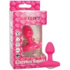 Cheeky Gems Small Rechargeable Vibrating Probe - Pink