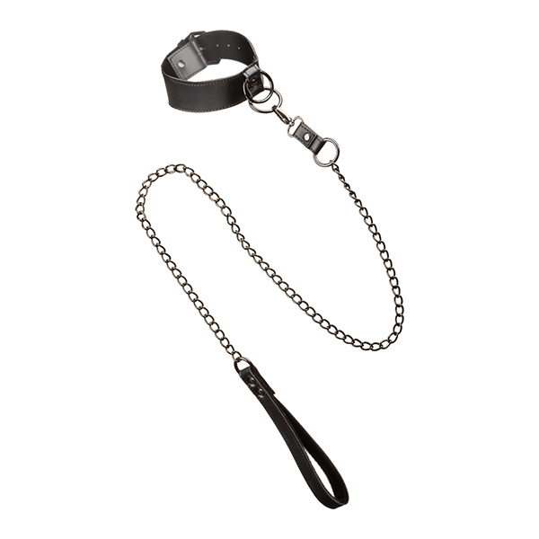 Euphoria Collection Collar w-Chain Leash - Image 2