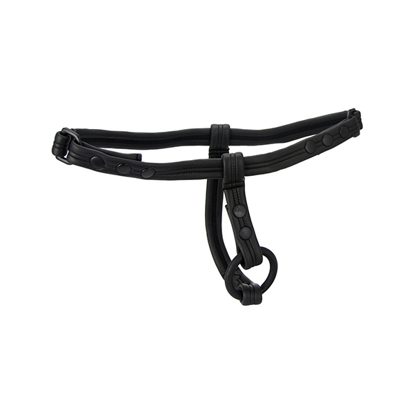 Sport Fucker Scrum Plug Harness