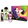 Shunga Fruity Kisses Collection Kit
