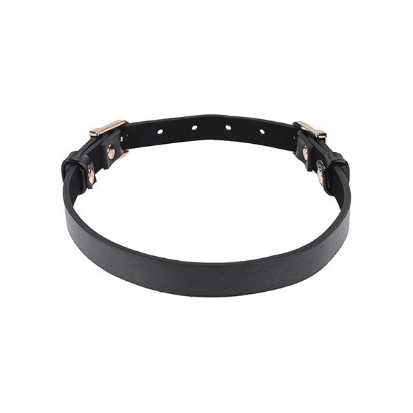 Sex & Mischief Double Buckle Day Collar - Image 3