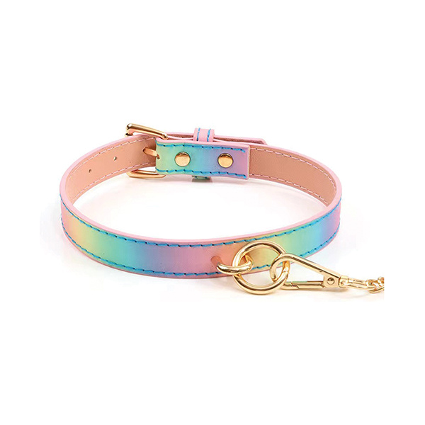 Hello Sexy! Hot Bitch Collar & Leash - Iridescent Rainbow - Image 3